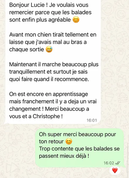 Message d'une famille accompagnée par L'École du Chien
